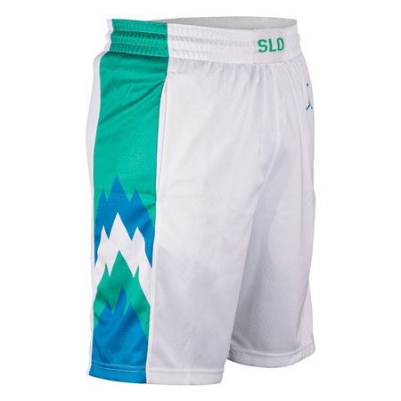 DALLAS MAVERICKS JORDAN BRAND 2023 SLOVENIA SWINGMAN SHORTS